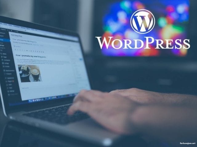 Kurumsal WordPress Web Siteleri