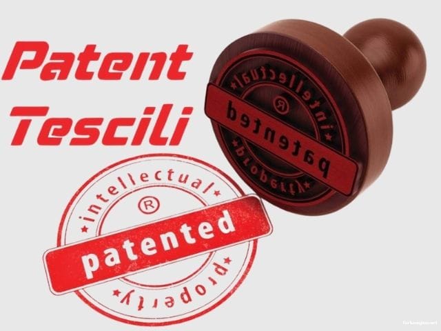 Patent Tescil Hizmetleri