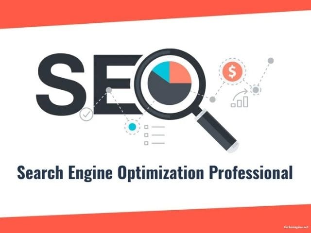 Profesyonel SEO Uzmanı Danışmanı